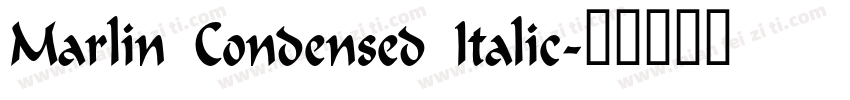 Marlin Condensed Italic字体转换